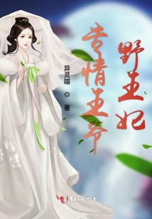 專情王爺野王妃