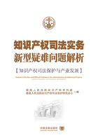 知识产权司法实务新型疑难问题解析：知识产权司法保护与产业发展在线阅读