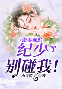 傲妻难追:纪少,别碰我!