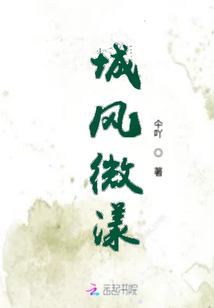 城风微漾
