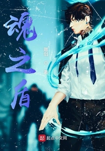 魂之盾
