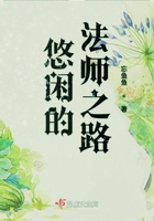 悠闲的法师之路