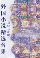 外国小说精选合集(套装共46册)在线阅读