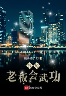 我的老板会武功