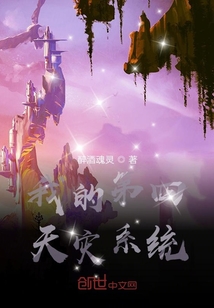 我的第四天災系統