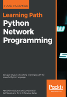 Python Network Programming在线阅读