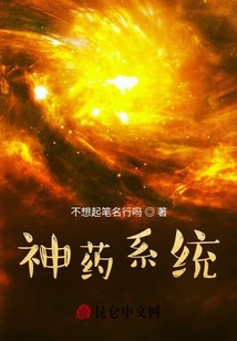 神藥系統(tǒng)