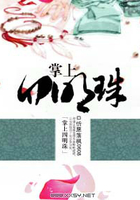 掌上四明珠在线阅读