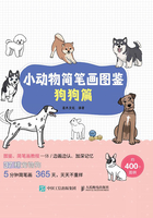 小动物简笔画图鉴：狗狗篇