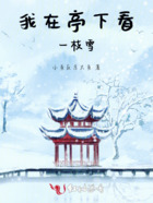 我在亭下看一枝雪在线阅读