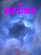 精灵：精灵幻想乡在线阅读