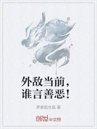 外敌当前，谁言善恶！在线阅读