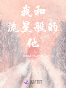 我和流星般的他
