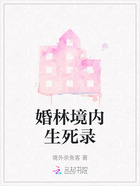 婚林境内生死录在线阅读