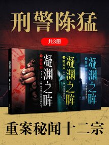 刑警陈猛：重案秘闻十二宗（共3册）在线阅读