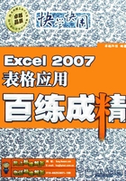 Excel 2007表格应用百练成精