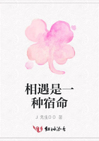 相遇是一種宿命在線閱讀