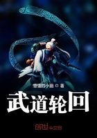 武道輪回在線閱讀