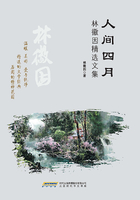 人间四月(林徽因精选文集)在线阅读