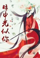 眸中光似你在線閱讀
