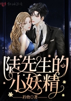 陸先生的小妖精在線閱讀