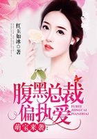 萌宝来袭:腹黑总裁偏执爱在线阅读