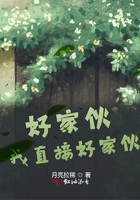好家伙，我直接好家伙在線閱讀