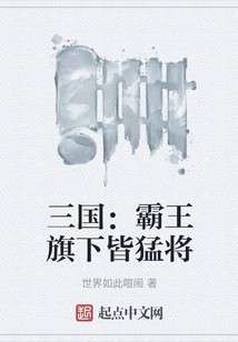 三國：霸王旗下皆猛將