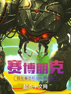 赛博朋克:我在暴恐机动队那些年在线阅读