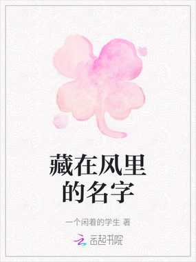 藏在风里的名字在线阅读