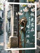 槐花落在旧门环上在线阅读