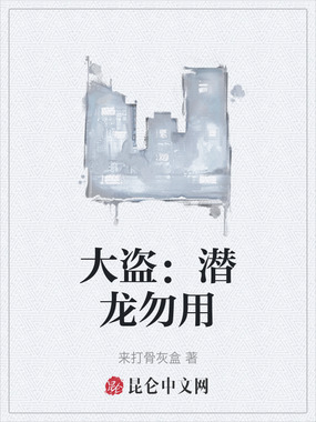 大盗:潜龙勿用在线阅读