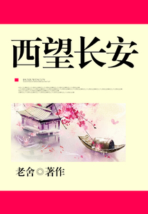 西望长安