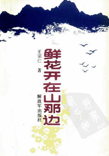 鲜花开在山那边
