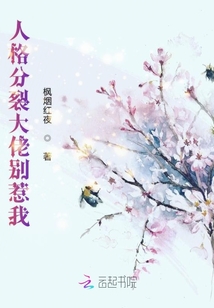 人格分裂大佬別惹我