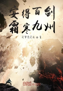 安得百劍霜寒九州