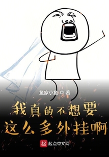 我真的不想要這么多外掛啊