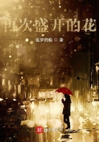 我们曾经爱过的女孩在线阅读
