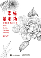 素描基本功：铅笔素描花卉100例在线阅读