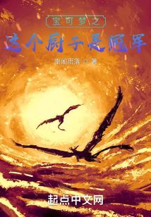 精靈寶可夢之這個廚子是冠軍