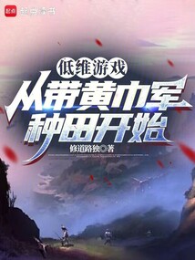 低維游戲：從帶黃巾軍種田開始