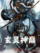 玄灵神巅在线阅读