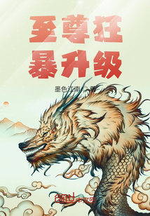 至尊狂暴升级 cover