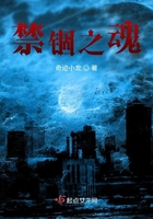 禁錮之魂在線閱讀