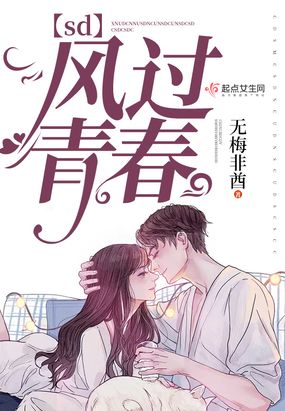 sd风过青春在线阅读