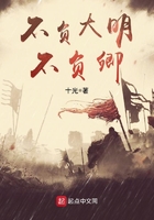 不负大明不负卿在线阅读