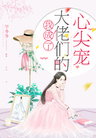 我成了大佬们的心尖宠在线阅读