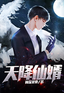天降仙婿