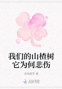 我們的山楂樹它為何悲傷