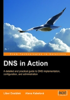 DNS in Action